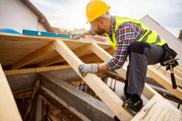 Best Local Roofing Companies  in Perry, MI