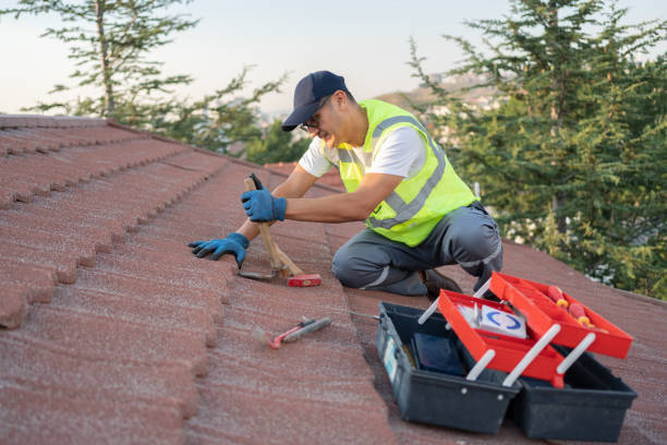 Best Gutter Installation and Roofing  in Perry, MI