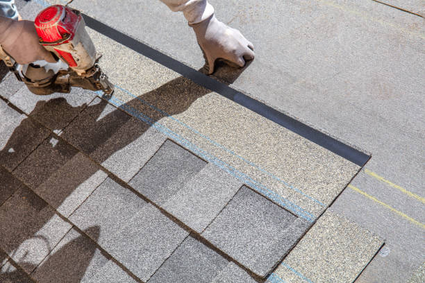 Professional Roofing Contractor in Perry, MI